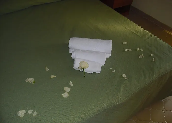 La Collinetta Sas 2*